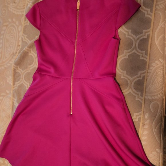 Ted Baker Purple/Pink Skater Dress - Ted Baker Size 4 - Picture 2 of 7